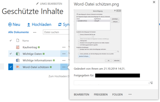 Screenshot Vorschau einer Bild-Datei in einer IRM-geschützten SharePoint-Bibliothek