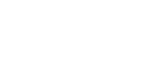 Logo Microsoft Solution Partner