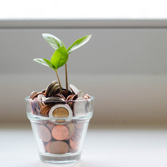 Glas mit Geld aus dem eine Pflanze wächst