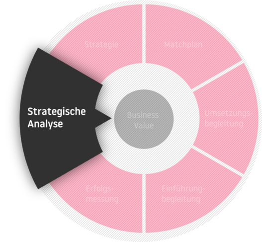 Die Phase der strategischen Analyse in der Beratung mit dem Business Value im Zentrum: Strategische Analyse - Strategie - Matchplan - Umsetzungsbegleitung - Einführungsbegleitung - Erfolgsmessung